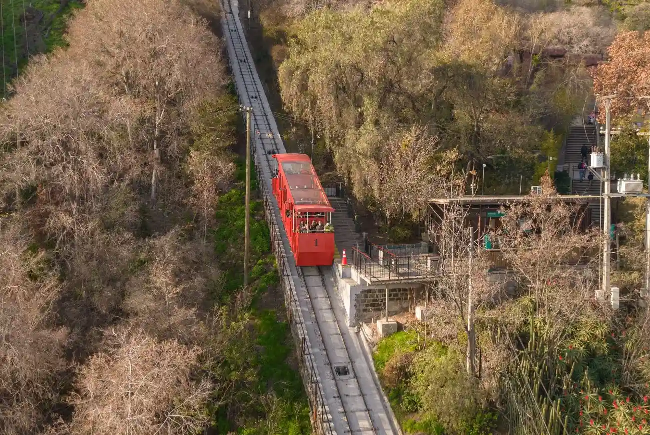 Carro del Funicular Santiago descendiendo entre árboles del Parque Metropolitano, visto desde lo alto